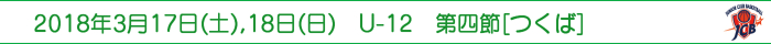 2018N317(y),18()@U-12@l[]